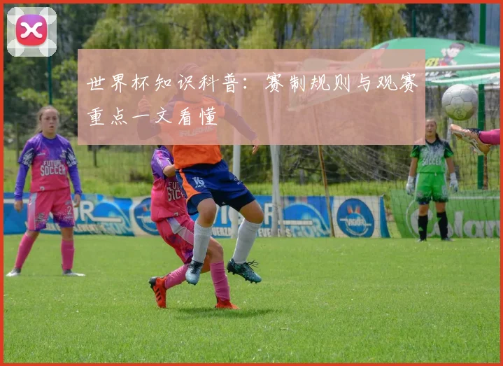 世界杯知识科普：赛制规则与观赛重点一文看懂